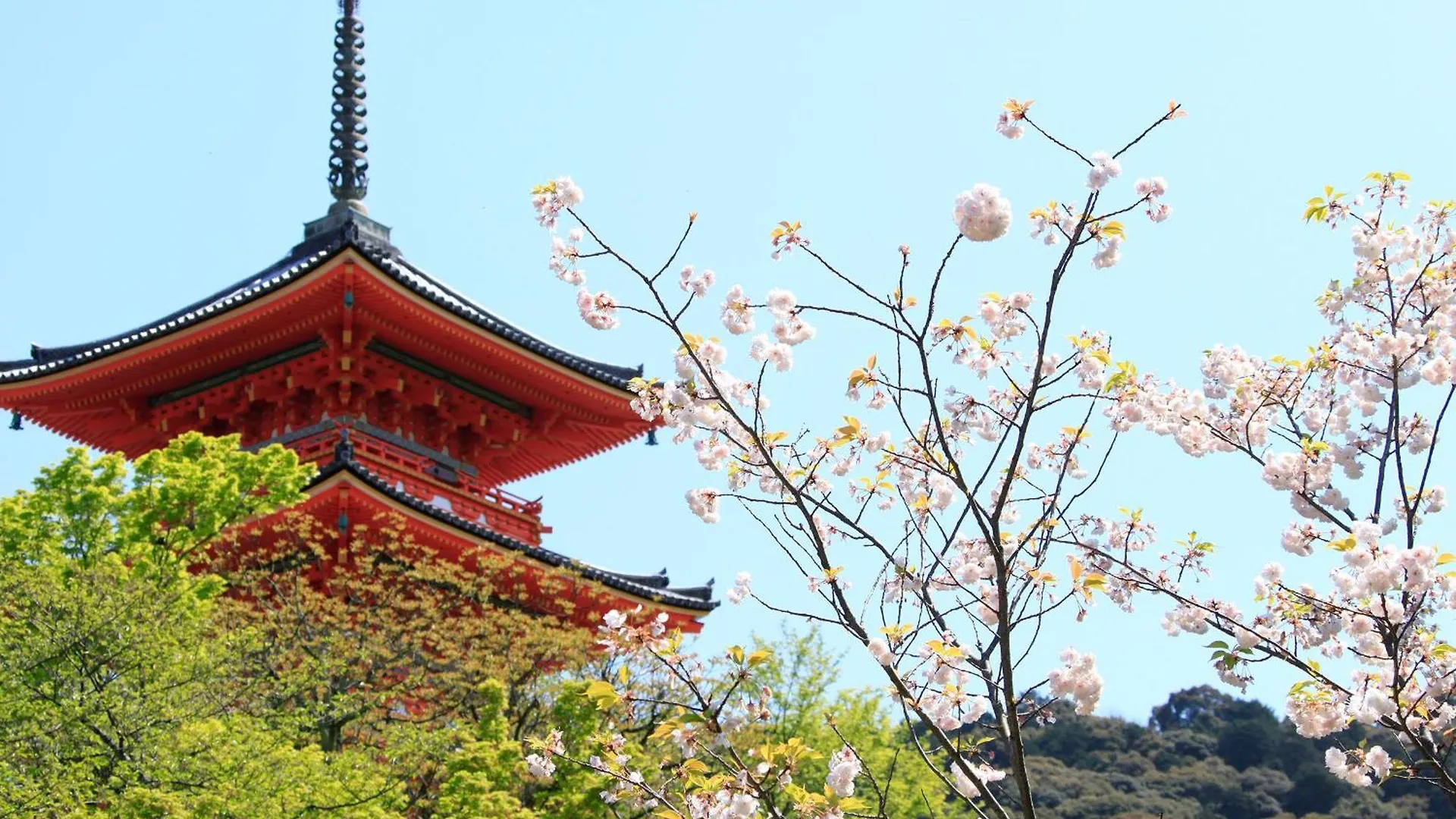 ****  Vessel Hotel Campana Kyoto Gojo Япония